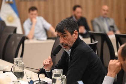 Rodolfo Tailhade, diputado de UP