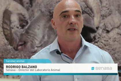 Rodrigo Balzano, director del laboratorio animal del Senasa