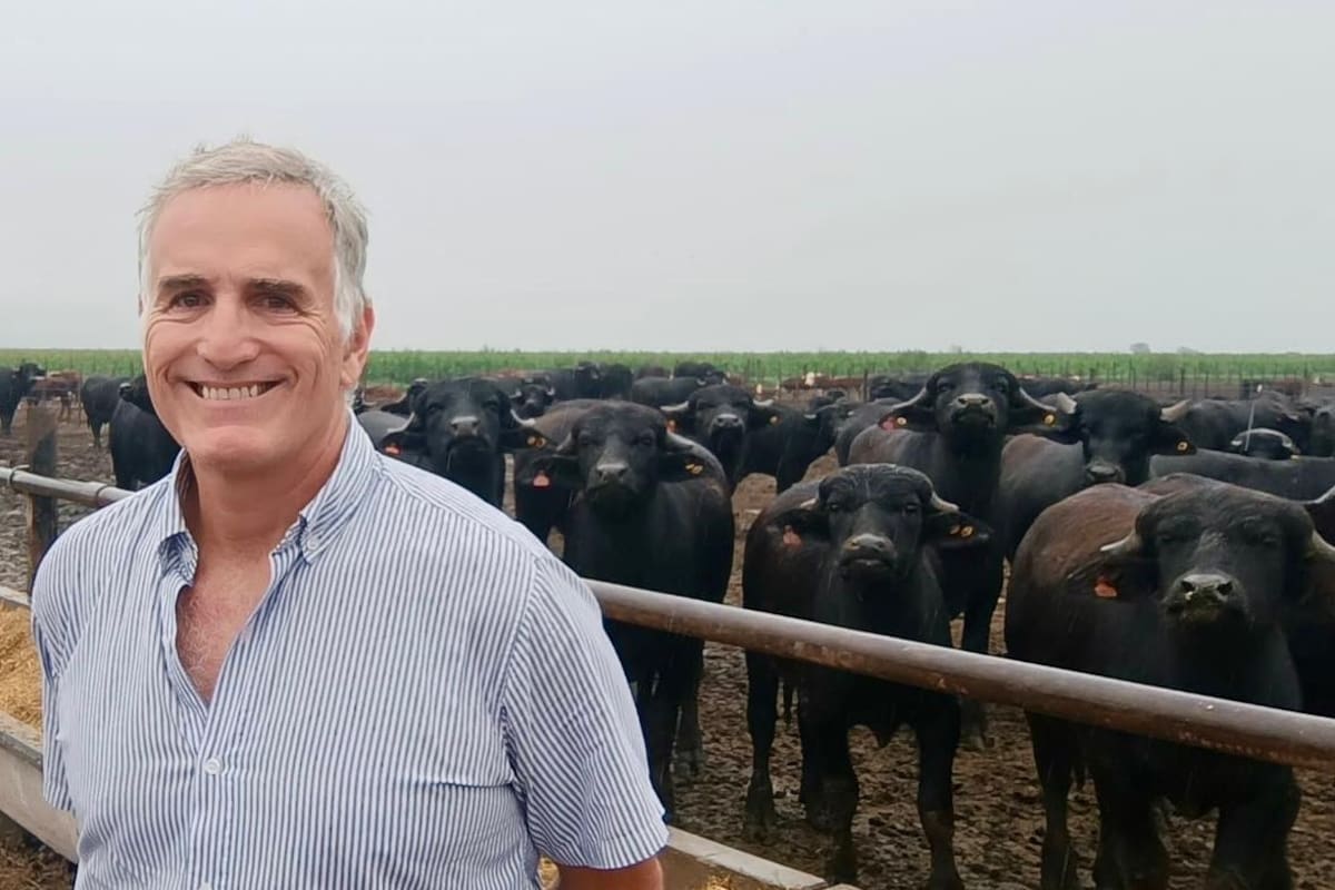 Rodrigo Bosch, director comercial de la firma, contó cómo es el modelo productivo que también alcanza a la carne de búfalo