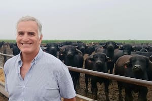 Rodrigo Bosch, director comercial de la firma, contó cómo es el modelo productivo que también alcanza a la carne de búfalo