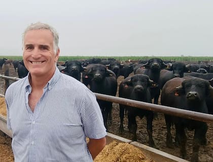 Rodrigo Bosch, director comercial de la firma, contó cómo es el modelo productivo que también alcanza a la carne de búfalo