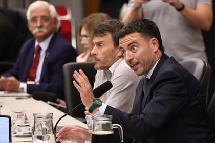 Rodrigo de Loredo en Diputados