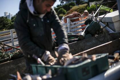 Rodrigo Ruiz tiene 23 años y hace cinco que sale a pescar con su padre. En invierno, trabaja en construcción