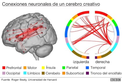 Roger Beaty, experto en neurociencia cognitiva en la Universidad de Harvard ha encontrado redes neuronales específicas que se activan en la generación de ideas