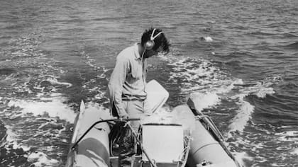 Roger entendió, dice Hauser, que si se quería que la gente se preocupara por las ballenas, primero tenían que experimentarlas de alguna manera