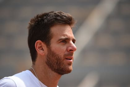 Roland Garros: el nuevo desafío de Del Potro