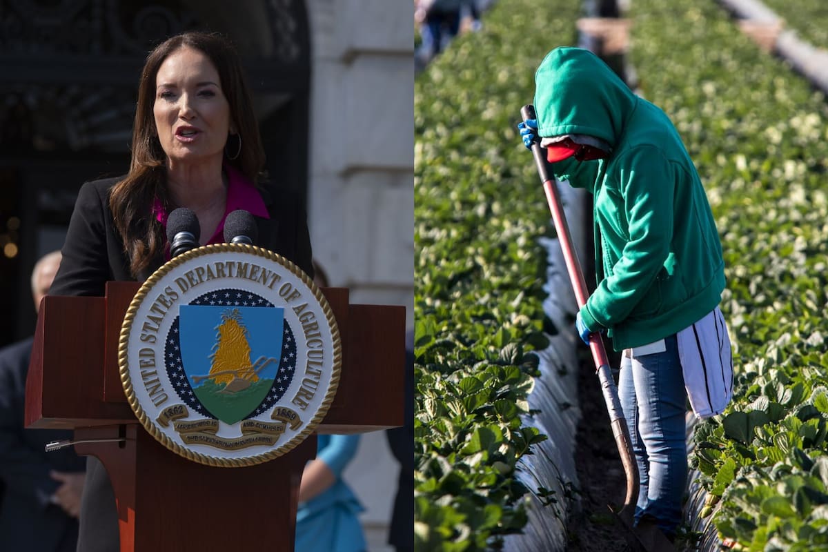 Rollins determinó que las deportaciones masivas continuarán para lograr una "fuerza laboral 100 % estadounidense"