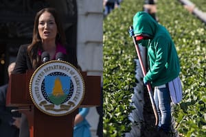 Rollins determinó que las deportaciones masivas continuarán para lograr una "fuerza laboral 100 % estadounidense"
