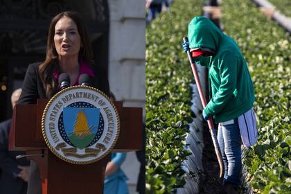 Rollins determinó que las deportaciones masivas continuarán para lograr una "fuerza laboral 100 % estadounidense"