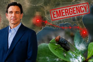 La plaga que llegó a Texas y Nuevo México obliga a DeSantis a ampliar la emergencia agrícola en Florida