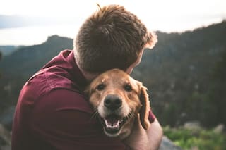 Nuevas reglas para comprar mascotas en Florida: los derechos que ganan los consumidores