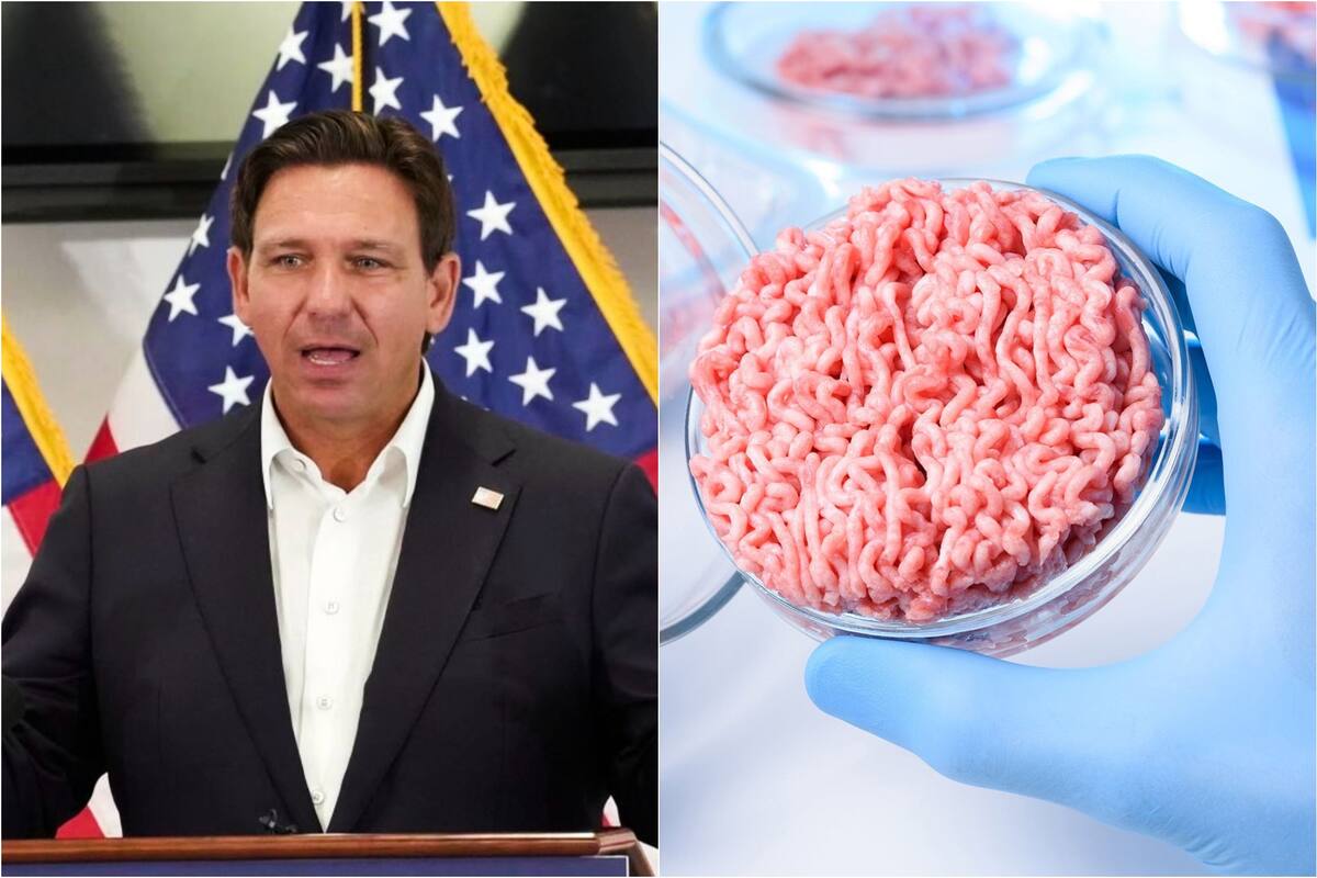 Ron DeSantis promulgó esta medida que ya genera controversia en todo el estado de Florida
