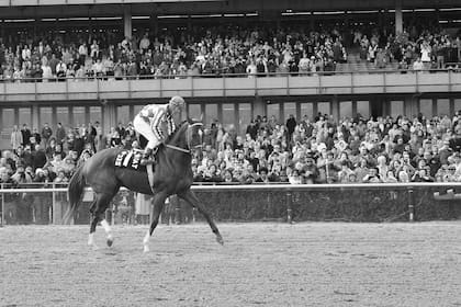 Ron Turcotte, el jinete que ganó la Triple Corona con Secretariat en 1973, fallece a los 84 años
