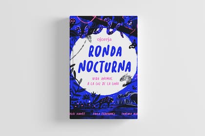 Ronda nocturna: vida animal a la luz de la luna