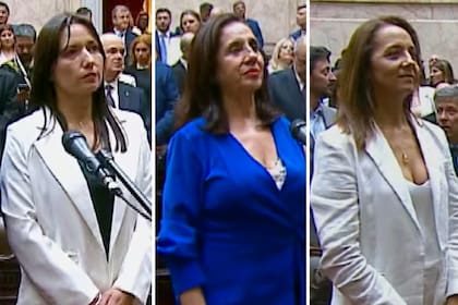 Rosario Goitía, María Graciela de la Rosa y Mónica Becerra, las tres diputadas que fueron víctimas de comentarios fuera de lugar en el Congreso