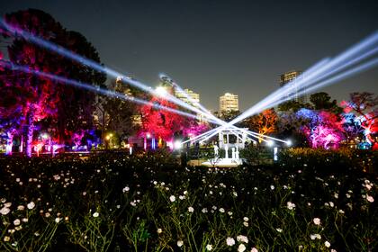 Rosas estupefactas en el show inmersivo "Secret Garden"