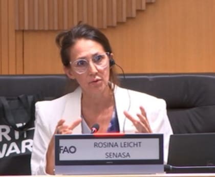 Rosina Leicht, responsable del Programa de Fiscalización y Monitoreo en Medios Digitales.