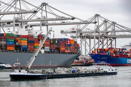 Más de 800 kilos de cocaína fueron descubiertos en el puerto de Rotterdam