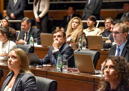 Rovira en su banca de diputado raso, que asumió en diciembre de 2023 cuando dejó el cargo de Presidente del cuerpo. Los seis diputados que lo rodean (Arabela Soler, Aryhatne Bahr, Jose Luis Pastori, Alejandro Arnhold, Blanca Nuñez y Anazul Centeno) le deben su cargo, pero ya no le responden.