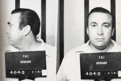 Roy DeMeo