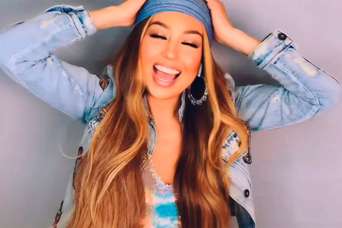 Rubén Blades, Diego Torres, Thalía y Nicky Jam, entre otros artistas, unidos para ponerle su voz a "Color esperanza"