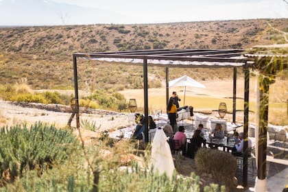 Ruda cocina, una de las propuestas gourmet más novedosas.