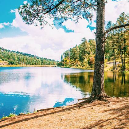 Ruidoso es el destino perfecto para escapar de la rutina y disfrutar de la naturaleza (Instagram/@stuffedsuitcase)