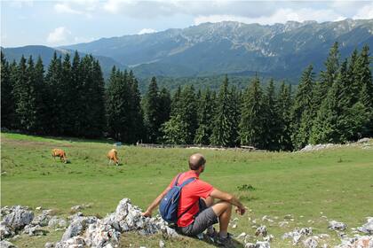 Rumania.