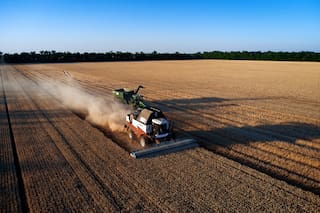 Rusia puso retenciones cero para el trigo, la cebada y el maíz hasta fin de año