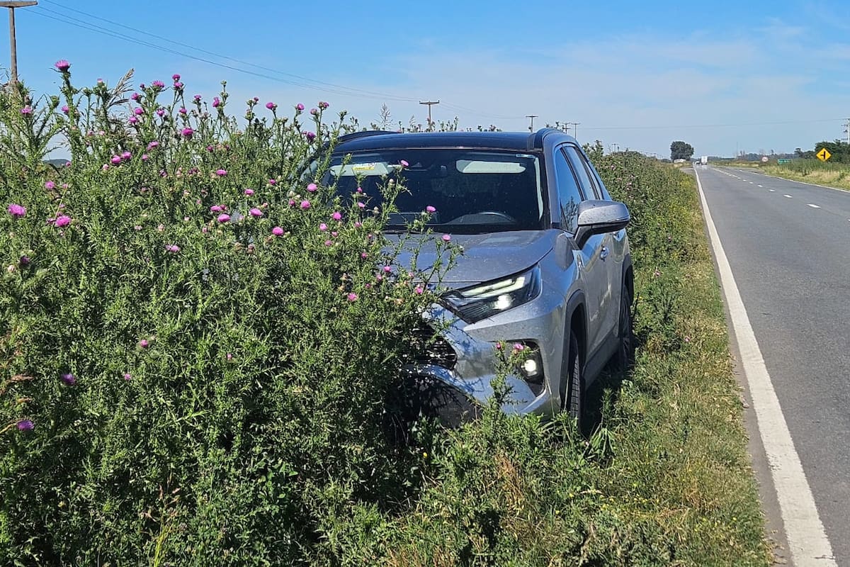 Ruta 5 en diciembre de 2024, a la altura de Carlos Casares, con vegetación crecida en las banquinas