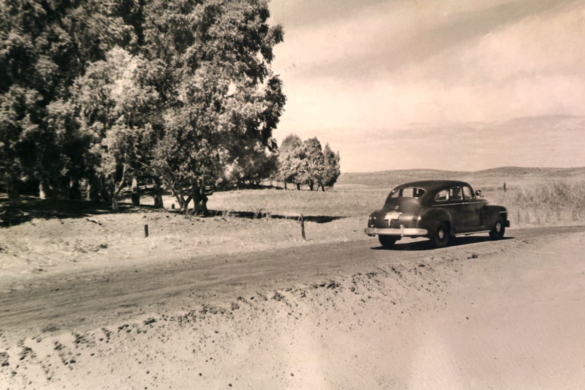 Ruta de acceso a Pehuén-Có (1960)