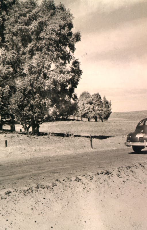 Ruta de acceso a Pehuén-Có (1960)