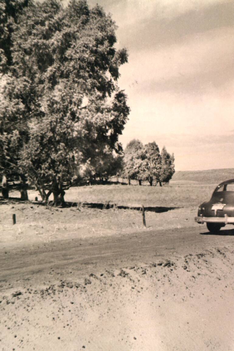 Ruta de acceso a Pehuén-Có (1960)