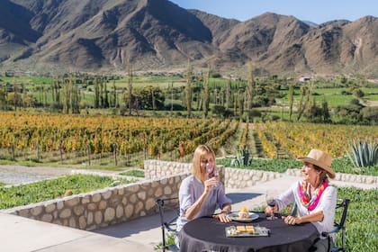 Ruta del Vino torrontés en Salta