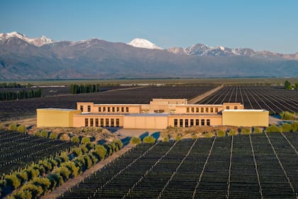 Rutini Wines en Valle de Uco (Mendoza), donde se elabora el espumante "del año", según Atkin