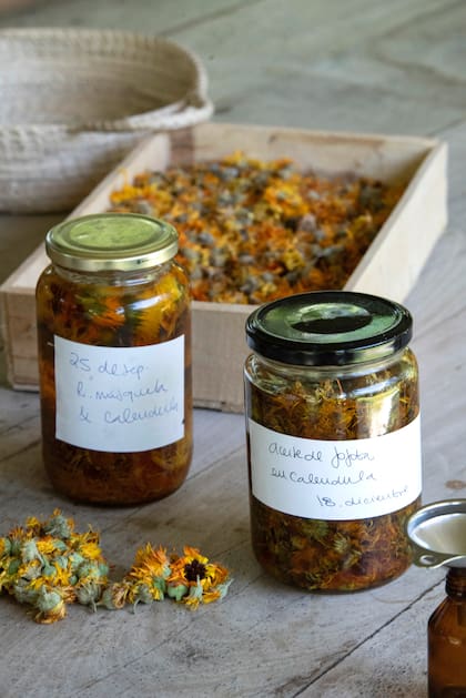 Sabe a Rama transforma flores, hierbas y aceites vegetales en productos para la piel