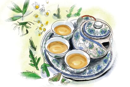 Saborear una taza de esta bebida milenaria es la mejor forma de traer calma y tranquilidad al día. Propuestas de Club LA NACION para disfrutar este gran ritual.