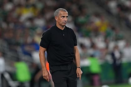 Sabri Lamouchi fue despedido como entrenador de Túnez tras la goleada sufrida ante Suecia. (AP Photo/Moises Castillo)
