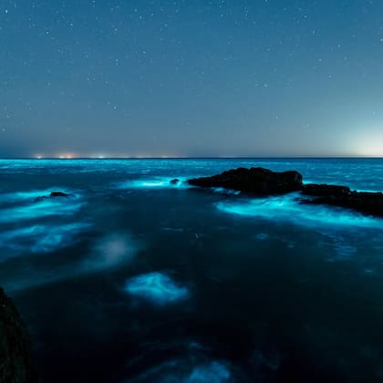Sabrina Garciarena fotografió las bioluminiscencias de Punta del Este