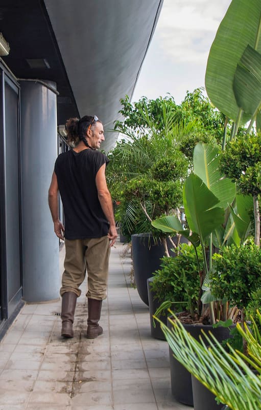 Sacar el máximo provecho a un jardín chico no depende de incorporar más especies ni de realizar grandes inversiones