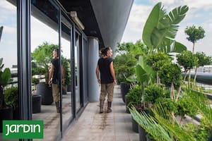 Cómo hacer que un jardín pequeño, patio o balcón parezcan más grandes