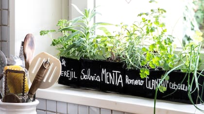 Sachets en vez de macetas para las aromáticas de la cocina