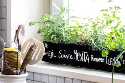 Sachets en vez de macetas para las aromáticas de la cocina