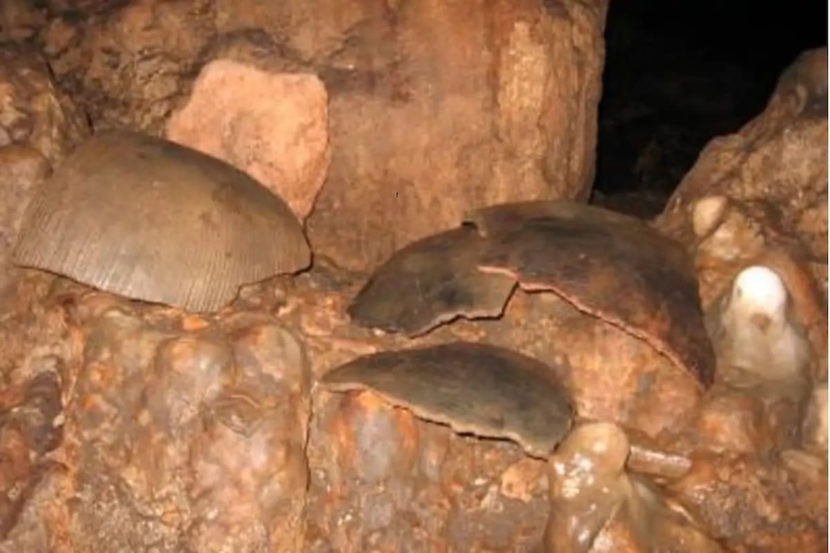 Sacrificios humanos y ofrendas: qué revelaron los restos hallados en una cueva maya (Foto: National Geographic / Medina-Elizalde)
