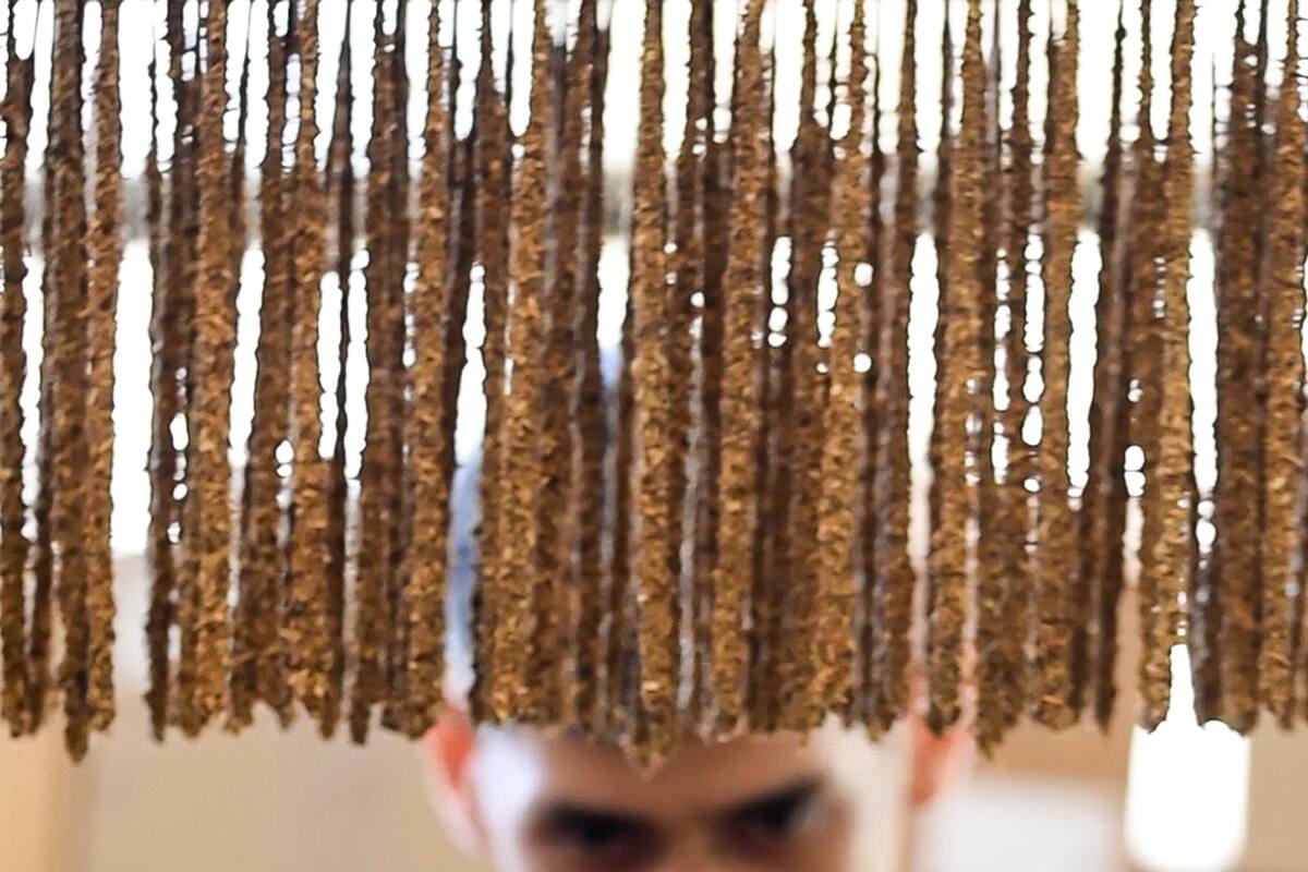 Sahumerios de exportación