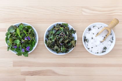 Sal saborizada con albahaca