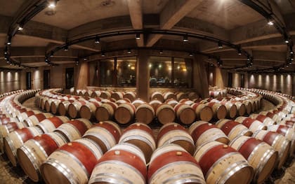 Sala de barricas