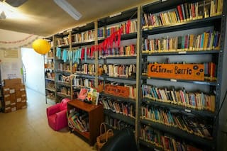 Las bibliotecas populares de la Conabip piden que la Justicia rechace el decreto 345