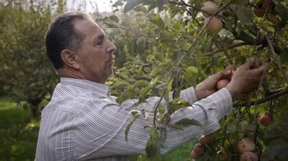 Salam Saeed, cuya tierra está a la sombra de una gran base militar turca, no ha podido cultivar sus tierras durante tres años.
