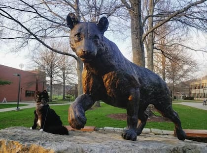 Salem es casi una celebridad en el campus universitario
